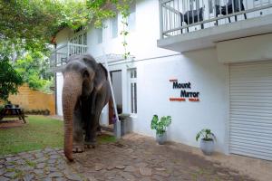 an elephant standing in front of a building at Kandyan Mount Mirror Boutique Villa in Kandy