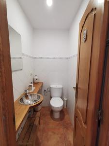 een kleine badkamer met een toilet en een wastafel bij La Casita del Camino in Redondela