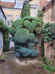 Une brousse en forme de cœur dans l'établissement Duplex La Maisonnette 2 Chambres - parking gratuit, à Troyes