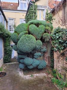 a bush that is shaped like a heart at Duplex La Maisonnette 2 Chambres - parking gratuit in Troyes