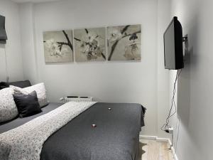 ein Schlafzimmer mit einem Bett und einem TV an der Wand in der Unterkunft Ferienwohnung am Traveufer in Travemünde