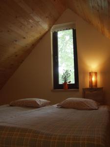 Кровать или кровати в номере Dzikie Roztocze - Zielony Domek
