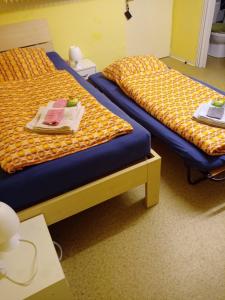dos camas sentadas una al lado de la otra en una habitación en Kleines Appartment zentrale Lage, en Künzell