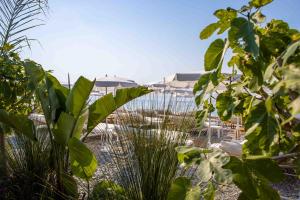 a view of a beach with umbrellas and plants at Hotel Le Negresco in Nice