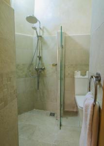a shower with a glass door next to a toilet at Stella 1 - joli appartement en médina avec cheminée in Essaouira +8 photos
