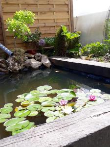einen Teich mit Seerosenblättern und Blumen im Garten in der Unterkunft Maison de 4 chambres avec jardin clos et wifi a Roncherolles en Bray in Mauquenchy