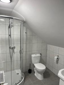 a bathroom with a toilet and a shower and a sink at Pokoje na Górce in Rajgród