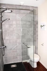 y baño con ducha de cristal y aseo. en Relais de la Renaissance, en Saint-Michel-de-Montaigne