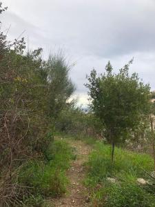 Paesaggio naturale nelle vicinanze dello chalet