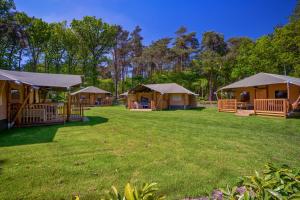 a group of luxury yurt lodges in a field at Landgoed 't Wildryck in Diever