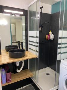 uma casa de banho com um lavatório e uma cabina de duche em vidro. em Villa Domaine des Pins, Magasins proches, Piscine em Fréjus