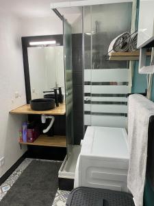 een badkamer met een glazen douche en een wastafel bij Villa Domaine des Pins, Magasins proches, Piscine in Fréjus