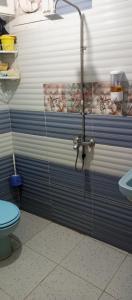 y baño con ducha y aseo. en NUBA ONe, en Asuán