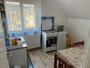 uma pequena cozinha com um fogão e um frigorífico em Casa Nico em Sărmaş