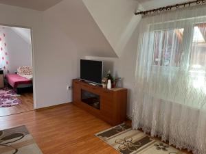uma sala de estar com uma televisão e uma janela em Casa Nico em Sărmaş
