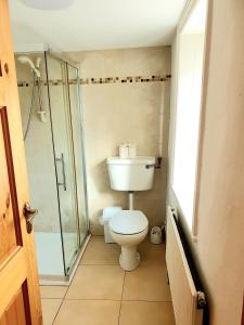 ディングルにあるTeach Eoinのバスルーム(トイレ、ガラス張りのシャワー付)
