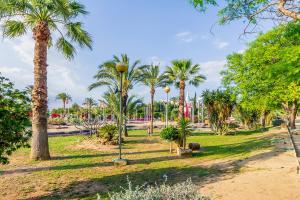 un parco con palme in una giornata di sole di ALEGRIA ID52 a Orihuela Costa