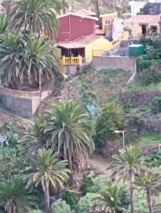 バジェエルモソにあるcasa Luciaの家屋敷山のヤシの群れ