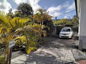 un coche blanco aparcado en una entrada con palmeras en Chambre d'hôte Magdeleine en Le Guillaume