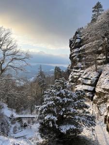Paesaggio naturale nelle vicinanze del bed & breakfast
