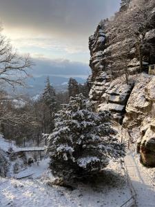 Paesaggio naturale nelle vicinanze del bed & breakfast