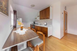 Köök või kööginurk majutusasutuses Apartma Metka