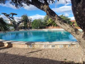 a swimming pool with a tree in the foreground at Villa Carlos in Vinarós