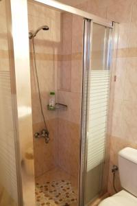 a shower with a glass door in a bathroom at Mikes View in Astros