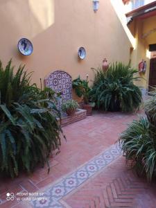 Fotografia z galérie ubytovania Apartamentos Jerezanos v destinácii Jerez de la Frontera