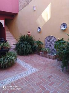 Fotografia z galérie ubytovania Apartamentos Jerezanos v destinácii Jerez de la Frontera