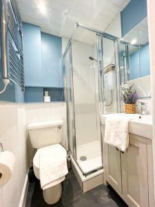 een badkamer met een douche, een toilet en een wastafel bij Snug Studio on The Grassmarket, 5mins from Castle in Edinburgh