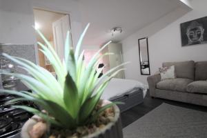 ein Wohnzimmer mit einem Sofa und einer Topfpflanze in der Unterkunft Studio 2 min walk to Upton Park Station in London