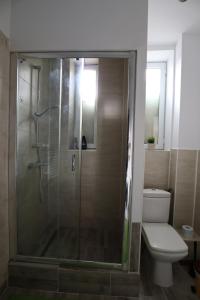 a bathroom with a shower and a toilet at Center Haus in Bucharest +15 photos