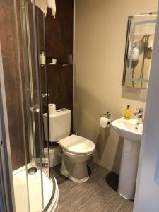 a bathroom with a toilet and a sink at Tarn Hows in Keswick