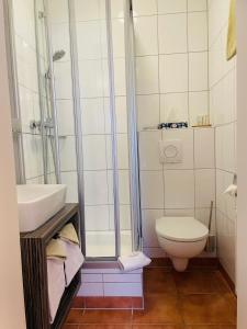 y baño con ducha, aseo y lavamanos. en Altstadt Hotel Glockenhof, en Eltville am Rhein