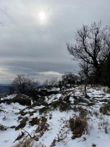 Paesaggio naturale nelle vicinanze del bed & breakfast