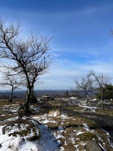Paesaggio naturale nelle vicinanze del bed & breakfast