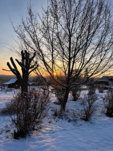 Paesaggio naturale nelle vicinanze del bed & breakfast