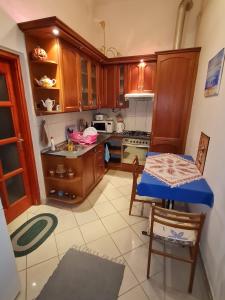 布達佩斯的住宿－Weiner Downtown Apartment，厨房配有木制橱柜和桌子。