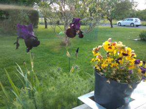 Zahrada ubytování CHAMBRE D'HOTE A 15 MIN DU CIRCUIT DES 24H DU MANS