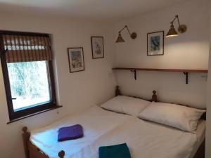 a bedroom with a bed with two pillows and a window at Edmundova chata in Jetřichovice