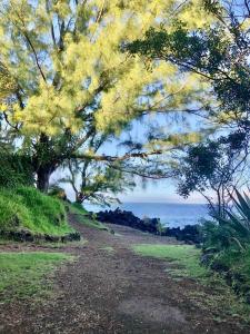un chemin de terre avec des arbres et l'océan en arrière-plan dans l'établissement la kaz Australe, pointe de langevin, à Saint-Joseph
