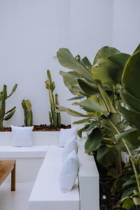 Foto da galeria de Olisa Hotel Boutique em Maresias