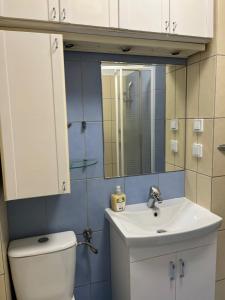 a bathroom with a toilet and a sink and a mirror at Noclegi Mosina in Mosina