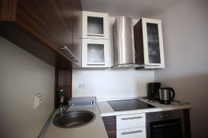 eine kleine Küche mit einer Spüle und einem Herd in der Unterkunft Apartments Stadthaus Briski in Opatija