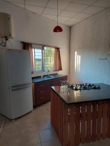 a kitchen with a refrigerator and a counter top at Cabañas Apart del Sauce II in Paraná