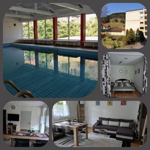 a collage of pictures of a swimming pool at Haus Enere Au FeWo Antonia und FeWo Milan in Todtmoos