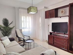 TV a/nebo společenská místnost v ubytování Céntrico Apartamento Jardines de Vallellano