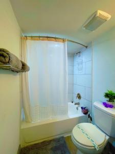Modern Santorini Suite Houston NRG TMC Luxurious Walkable في هيوستن: حمام مع مرحاض ودش وحوض استحمام
