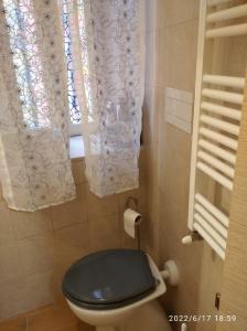 baño con aseo con asiento azul y ventana en Appartamento arredato Segni Roma CASA ANNA MARIA, en Segni